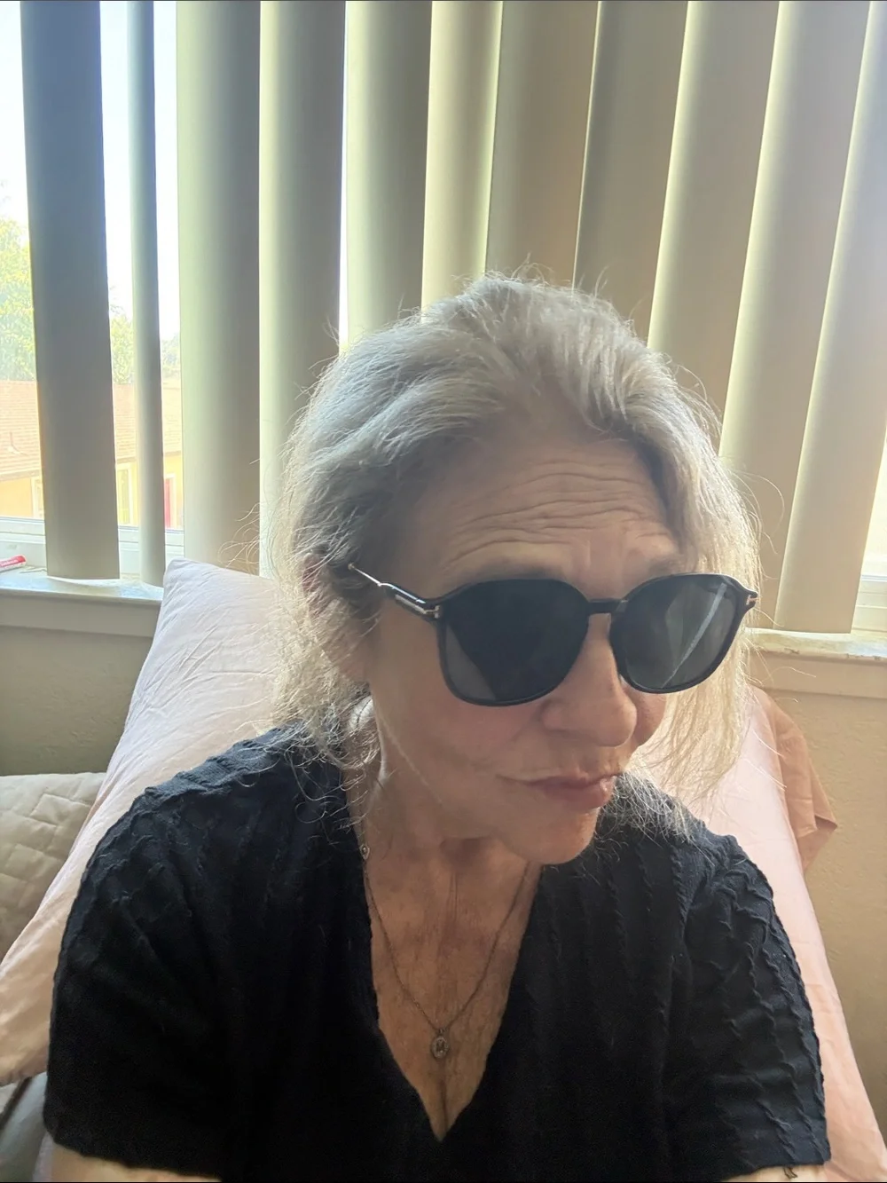 Tom Ford Black Frame Sunglasses with Dark Lenses sleek design Quiet Luxury